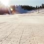 Dodge Ridge Mountain Resort