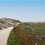 Marina State Beach (SB)
