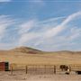 CG Cattle Company