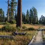 Ward Creek Park Property