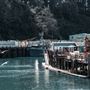 Noyo Harbor District