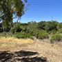Kenneth Hahn State Recreational Area (SRA) administered by Los Angeles County