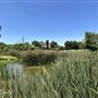 Whittier Narrows Recreation Area / LA County Parks - US Army Corps of Engineers