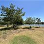 Whittier Narrows Recreation Area / LA County Parks - US Army Corps of Engineers
