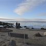Pacific Grove