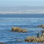 Pacific Grove