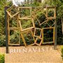 Buena Vista Winery