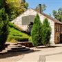 Buena Vista Winery