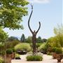 DeLoach Winery