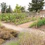 DeLoach Winery