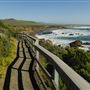 Hearst San Simeon State Park (SP)
