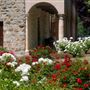 Sebastiani Winery