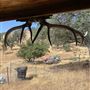 Bufford Ranch, managed by Golden Ranch Estates