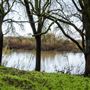 Delta Meadows Park Property