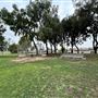 Veterans Park - City of Carson