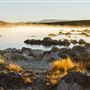 Mono Lake Tufa State Natural Reserve (SNR) / South Tufa Lake - Inyo National Forest (NF)