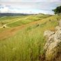 Fort Ord National Monument