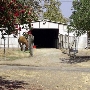 Cal Poly Pomona Campus South / RSI Pomona