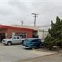 Auto Parts Store and Repair Shop