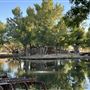 Skyotee Ranch