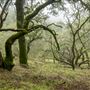 Fremont Peak State Park (SP)