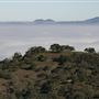 Fremont Peak State Park (SP)