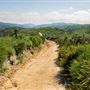 Laguna Coast Wilderness Park