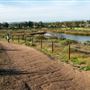 Peters Canyon Regional Park
