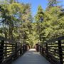 Pfeiffer Big Sur State Park (SP)