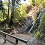Pfeiffer Big Sur State Park (SP)