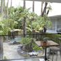 Hollywood Roosevelt, The
