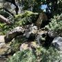 Storrier Stearns Japanese Garden