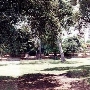 Lawn Bowling Center and Santiago Park