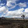 Yucca Valley
