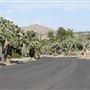 Yucca Valley