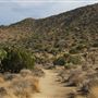Yucca Valley