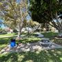 Anderson Park - City of Carson