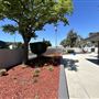 Stevenson Park - City of Carson