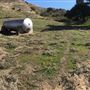 Bracaccini Ranch Property - 50 acres open field / Ranch House / Barns