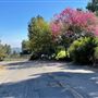 Commonwealth Canyon Drive, Vista Del Valle Drive - Vermont Canyon Road