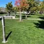 College of the Canyons