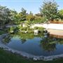 California State Polytechnic University, Pomona - Cal Poly Pomona