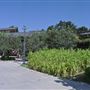 California State Polytechnic University, Pomona - Cal Poly Pomona