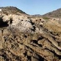 Leo Carrillo State Park and Beach (SP)