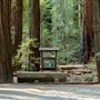 John B. Dewitt Redwoods State National Reserve (SNR)