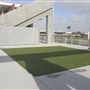 El Camino College
