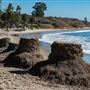 Refugio State Beach (SB)