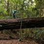 Portola Redwoods State Park (SP)