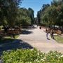 Occidental College - Oxy
