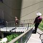 Filbert Steps